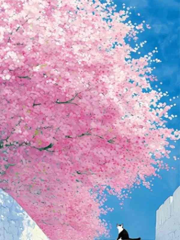 撩错京圈太子爷后，他带户口本杀疯了 